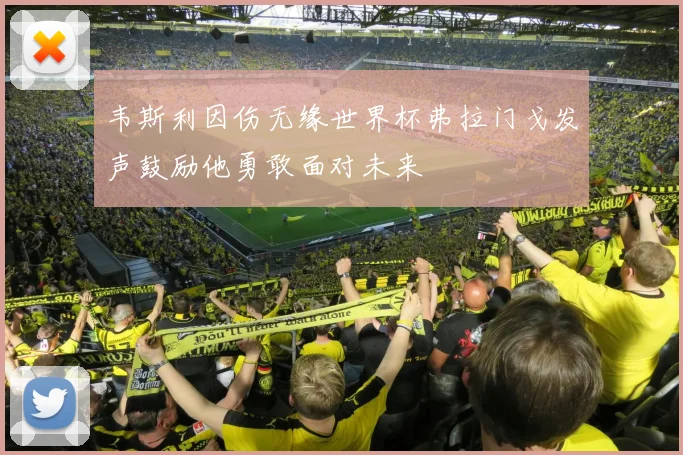 韦斯利因伤无缘世界杯弗拉门戈发声鼓励他勇敢面对未来